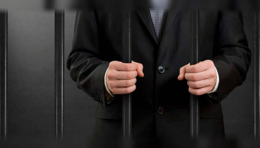 LA ESTRATEGIA DEL GOBIERNO FEDERAL CONTRA EFO’S, EDO’S Y BENEFICIARIOS FINALES.